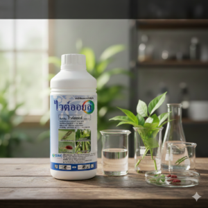 ไวต์ออยส์ (White Oil)